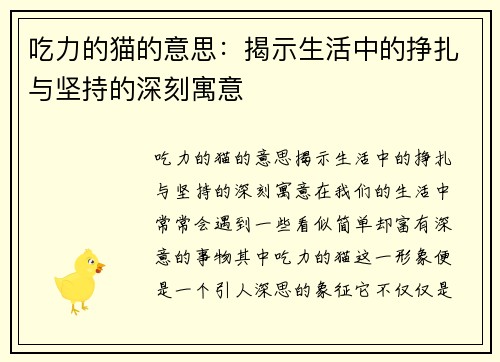吃力的猫的意思：揭示生活中的挣扎与坚持的深刻寓意